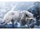 ПРЕДЗАКАЗ - Боевой волк - КОЛЛЕКЦИОННАЯ ФИГУРКА 1/6 COLD WINTER WOLF (LXF2208B) - LUCIFER ?ЦЕНА: 9200 РУБ.?