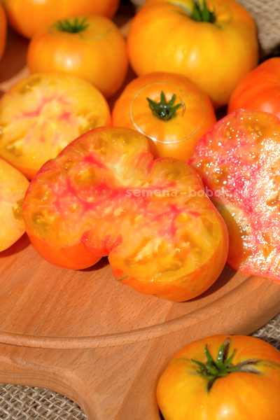 Томат Dwarf Wherokowhai (Гном Фероковкай), 10 шт