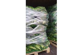 Продукты народного потребления: