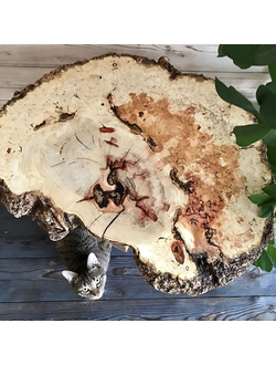 стол, журнальный столик, стол из спила, стол из слэба, кофейный столик, дизайнерский стол, спил