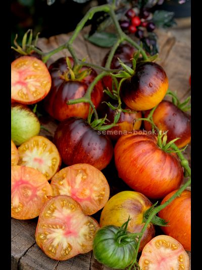 Томат Strangelove (Странная Любовь), 10 шт