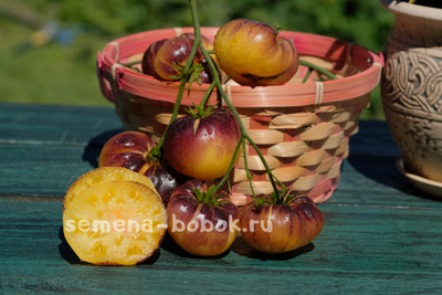 Томат Sart Roloise (Сарт Ролуаз), 10 шт