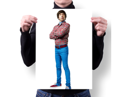 Плакат Теория большого взрыва, The Big Bang Theory №10