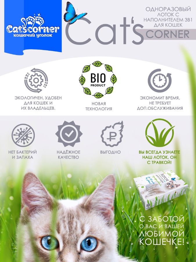 Кошачий лоток купить Одноразовый Туалет для Кошек Из Картона купить на catscorner.ru