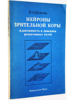 Шевелев И.А. Нейроны зрительной коры. Адаптивность и динамика рецептивных полей. М.: Наука. 1984.