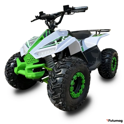 Электроквадроцикл ECO Lizard 48V30AH