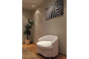 ЧЕХОЛ НА КРЕСЛО РАКУШКУ ТЕЛА ПИАНТА МОЛОЧНЫЙ