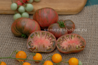 Томат Dwarf Noah's Stripes (Гном Полоски Ноя), 10 шт