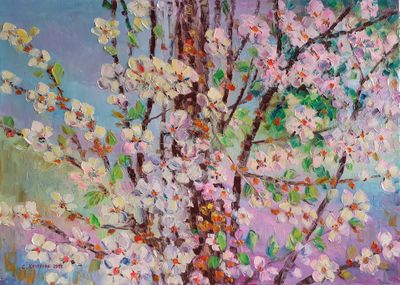 Вишня в цвету