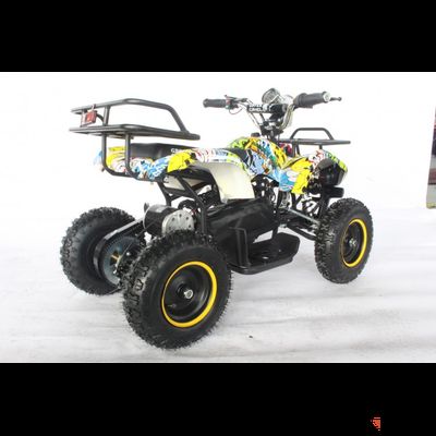 Квадроцикл GreenCamel Гоби K21 (12 Ah 36V 800W R6 Цепь) Граффити