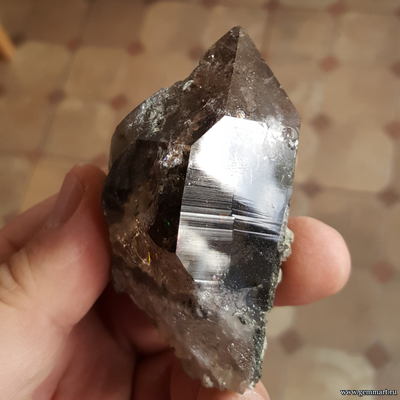 Дымчатый кварц с хлоритом. 80*40*38мм