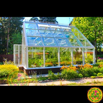 Зимняя теплица ВЛАДИМИР в классическом английском стиле с двускатной крышей размером 5000 х 7000 мм.