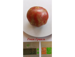 Томат Гном Грааль (Dwarf Grail)