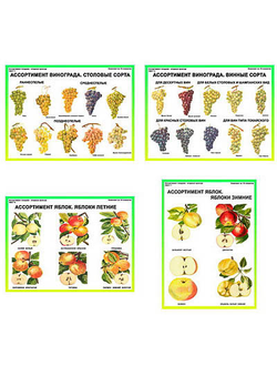 Плакаты ПРОФТЕХ "Ассортимент плодово-ягодных культур" (19 пл, винил, 70х100)