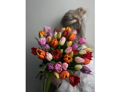 Букет тюльпанов миксом 45шт