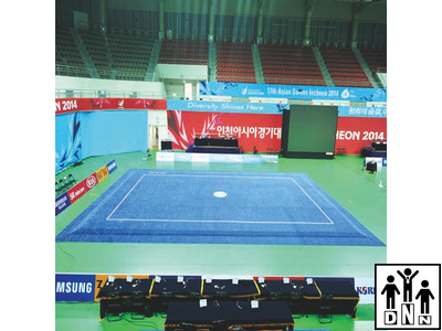 Ковер соревновательный для ушу-таолу 10х16 м DNN