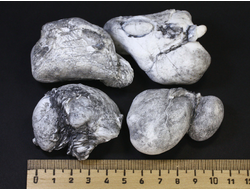 Кахолонг (Опал) желвак цельный в ассортименте, Оренбургская обл. (50-60 мм, 60-70 г) №13559