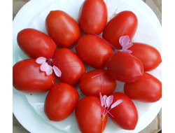 Томат Мархотская кисть (Мархотское гроно)