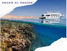 SEA TRIP NEAR TIRAN ISLAND (WITH THE POSSIBILITY OF DIVING FOR BEGINNERS) FROM SHARM EL SHEIKH