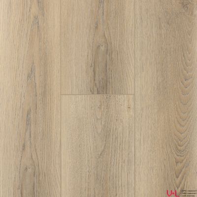 SPC ламинат FirstFloor Белый Дикий Лес 1F001 43 класс толщина 4.0 мм с фаской замковый 2.665 м2