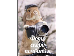 ЧИЗКЕЙК СЛИВКИ - КОФЕ