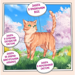 ZILLII  Light/Sterilized Cat корм сухой для кошек с избыточным весом и стерилизованных Белая рыба и Лосось 0.4 кг