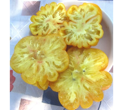 Томат Флорентийская красавица (Florentine Beauty)