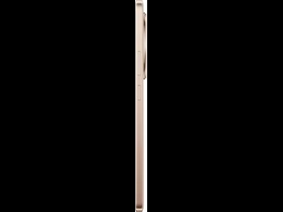 Realme 13 Plus 5G 8/256GB (RMX5000) Золотой