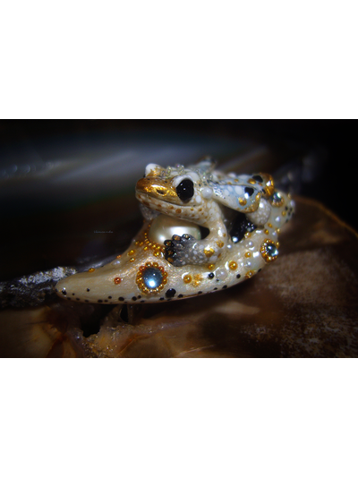 Мини-брошь с жемчугом и крылатой лягушкой &quot;Царская бабочка, Дивная Зоренька&quot;