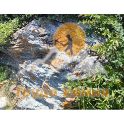 Валун хвойничек ландшафтный