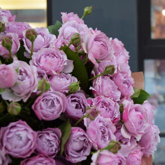 Лавендер баблз ( Lavender Bubbles).