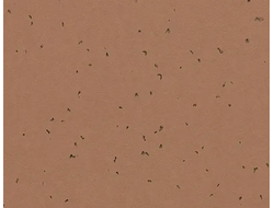 50225 Masala Sphera Energetic коллекция яркого гомогенного линолеума Forbo купить с доставкой