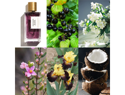 Goldfield & Banks Australia Southern Bloom