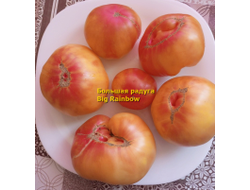 Томат Большая радуга (Big Rainbow, США)