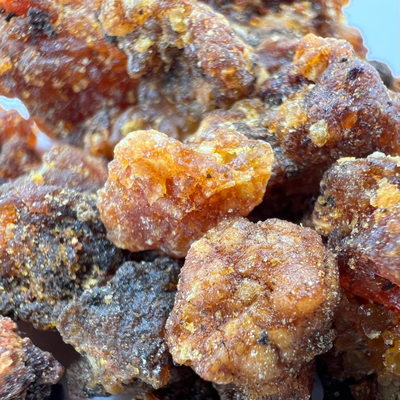 Опопанакс ( Кения ) 10 гр.