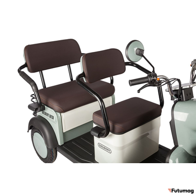 Электротрицикл Rutrike Gelbert Beta 48V/60V 800Вт зелено-белый