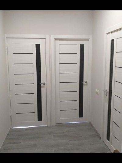 OPTIMA PORTE/ TURIN 554 ЯСЕНЬ СЕРЕБРИСТЫЙ