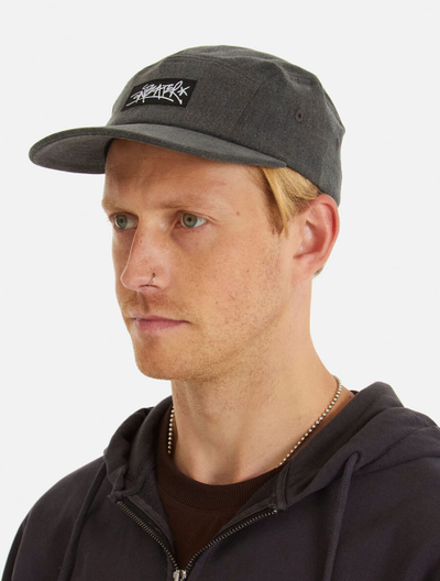 Кепка Anteater 5Panel Серая фото 4