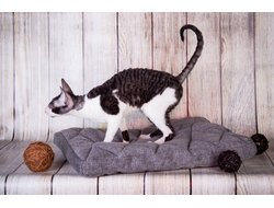 МАТРАС Ромб № 1