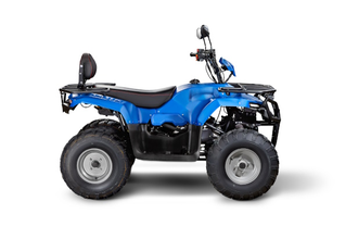 Квадроцикл IRBIS ATV 250