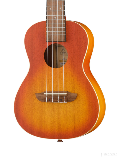 Ortega RUDAWN 2
