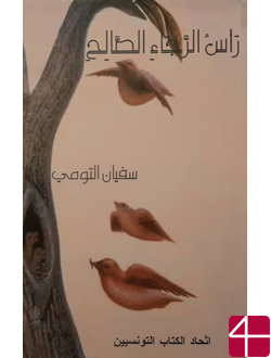 Мыс Доброй Надежды, Суфьян Эль-Туми