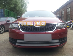 Защита радиатора Skoda Rapid 2013-2017 (2 части) chrome