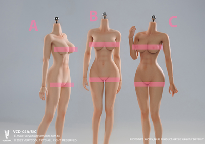 Супер-подвижное бесшовное женское тело (ТЕЛОИД) 1/6 - Articulated Silicone Medium Bust Female Body seamless legs (VCD-02B) - VERYCOOL