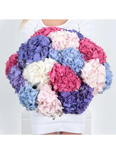 15 гортензий микс