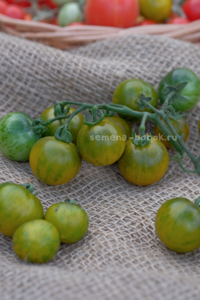 Томат Sweet Baby Jade (Свит Бэби Джейд), 10 шт