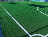Рулонный газон "Спорт"