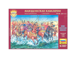 Сборная модель: (Звезда 8007) Македонская кавалерия