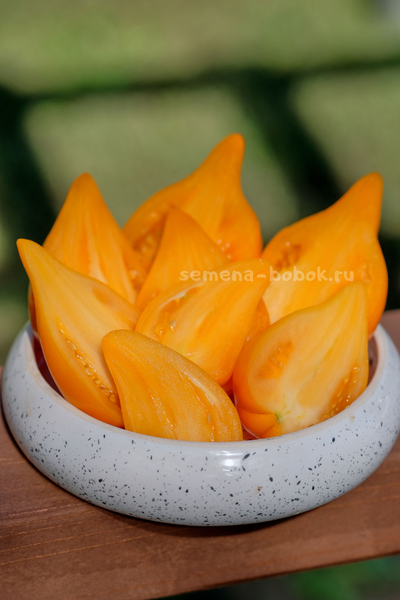 Томат Заилийский Алатау Желтый, 10 шт