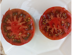 Томат Козула 127